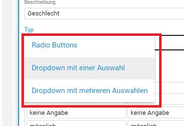 Menueauswahl im Gentics CMS Formulargenerator