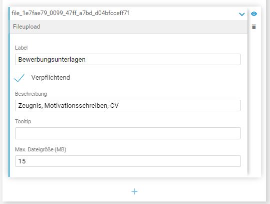 Auswahl im Gentics CMS Formulargenerator